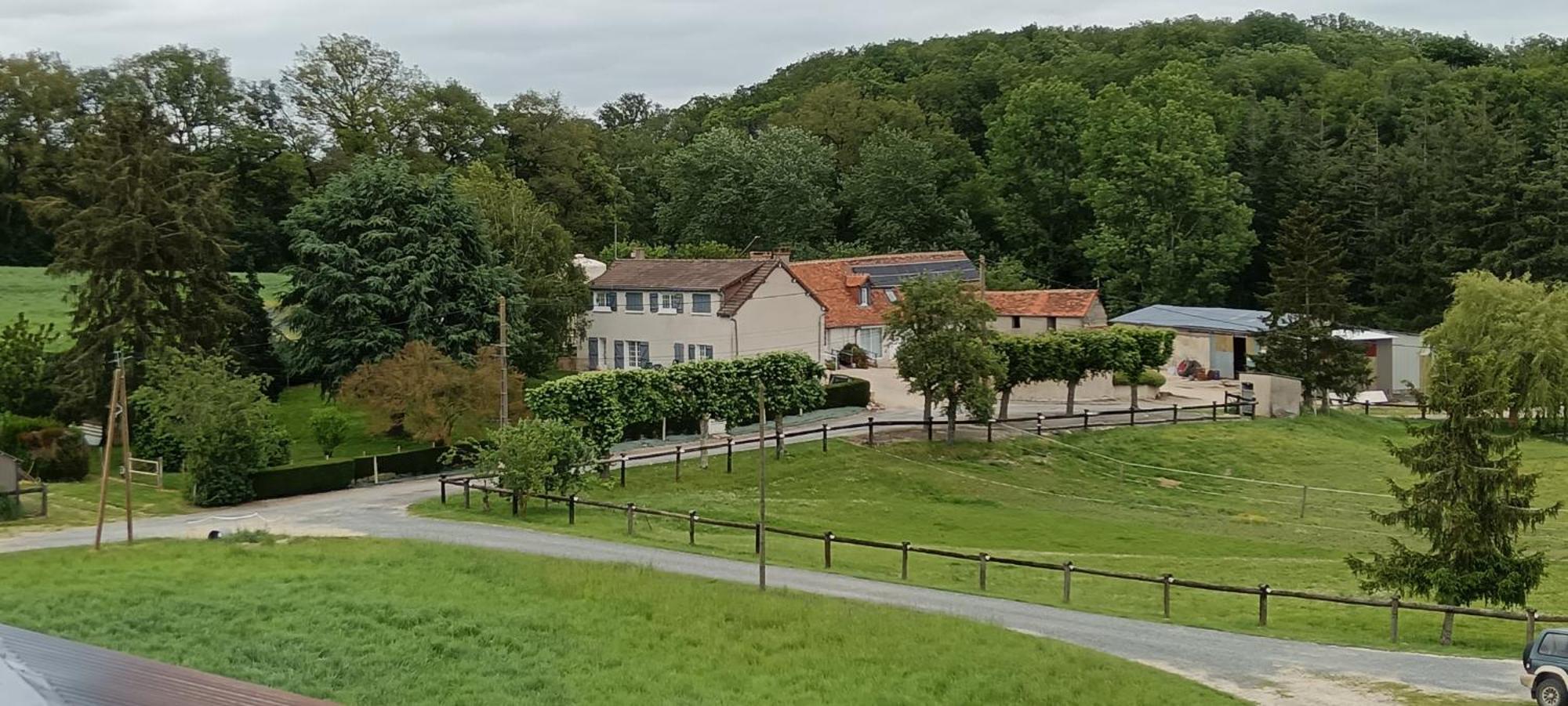 La Ferme Des Bigornes Hotel Chatillon-sur-Indre Ngoại thất bức ảnh